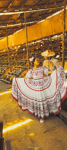 Terrenos De Los Festejos Charrotaurinos De Villa De Alvarez